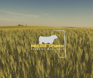 Logo Design by ExclusiveMind for Foursquare Farms | Design: #34111604