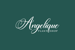 Logo Design by Art-Gallery for this project | Design: #34011837