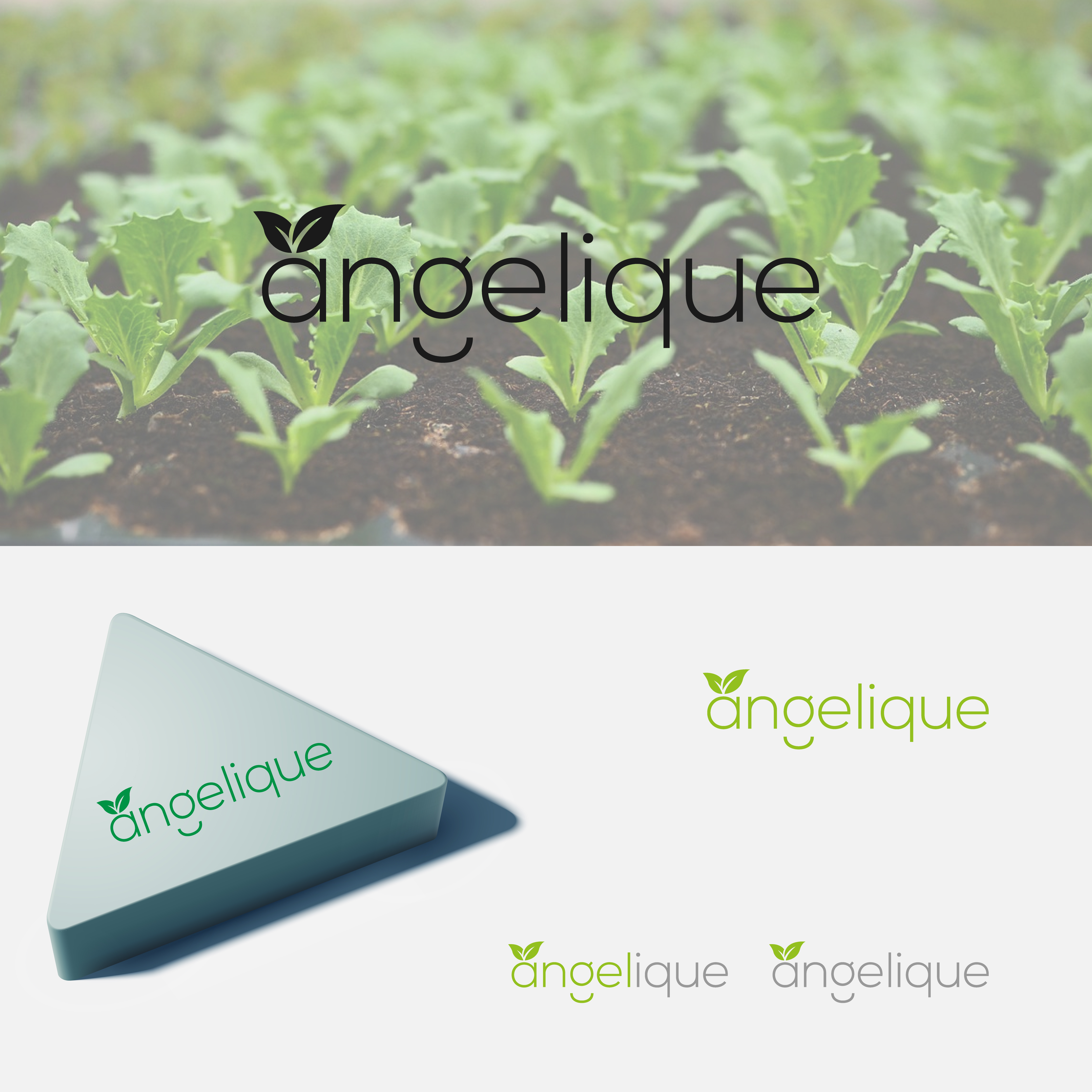 Logo Design by akdesign100 for this project | Design #34017566