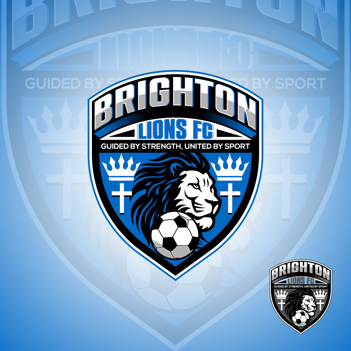 Logo Design by Suvendu.S for CEO | Design #34034169