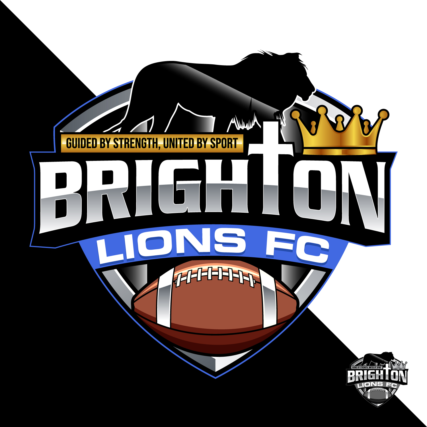 Logo Design by Suvendu.S for CEO | Design #34036282