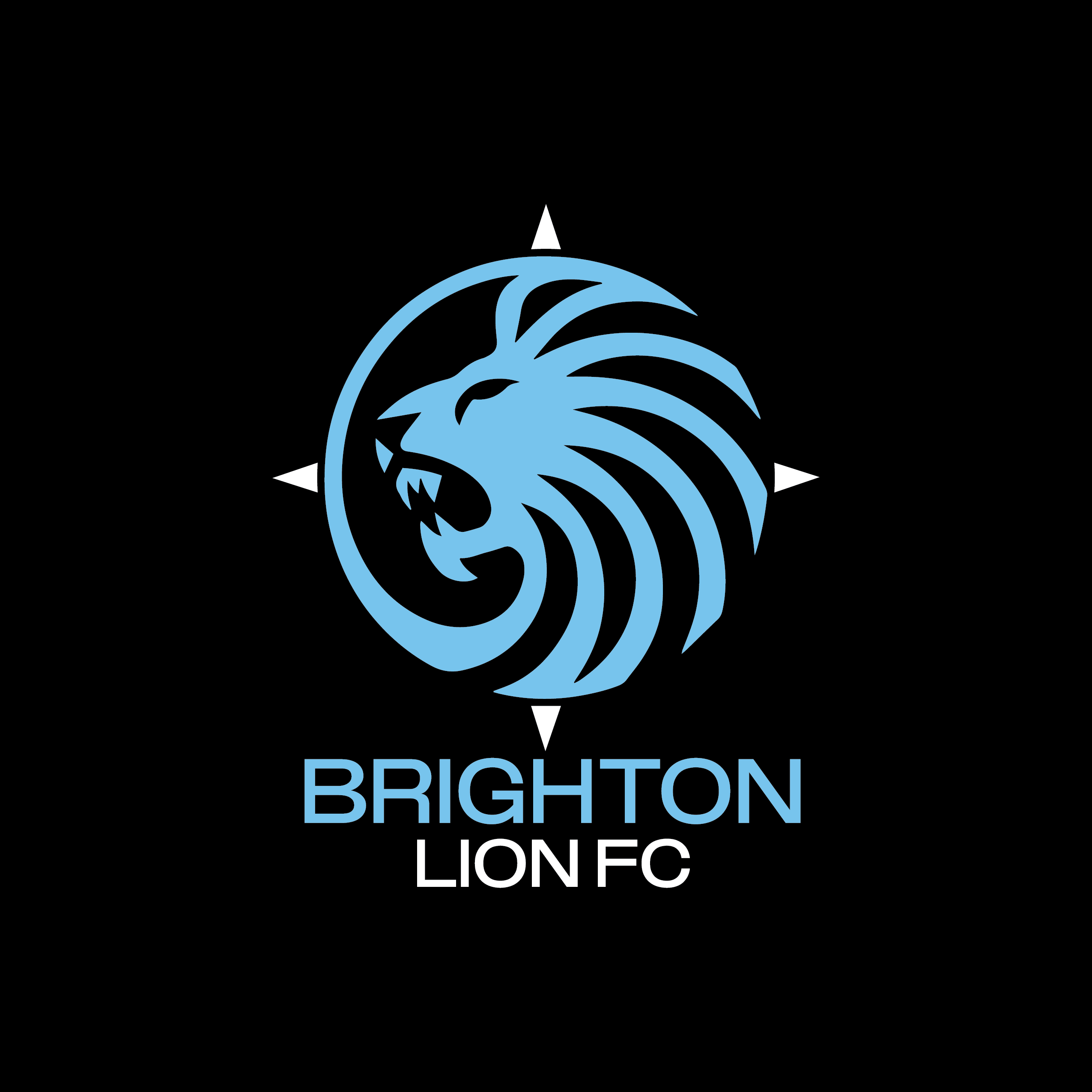 Logo Design by Ar_nisam_usman for CEO | Design #34025561