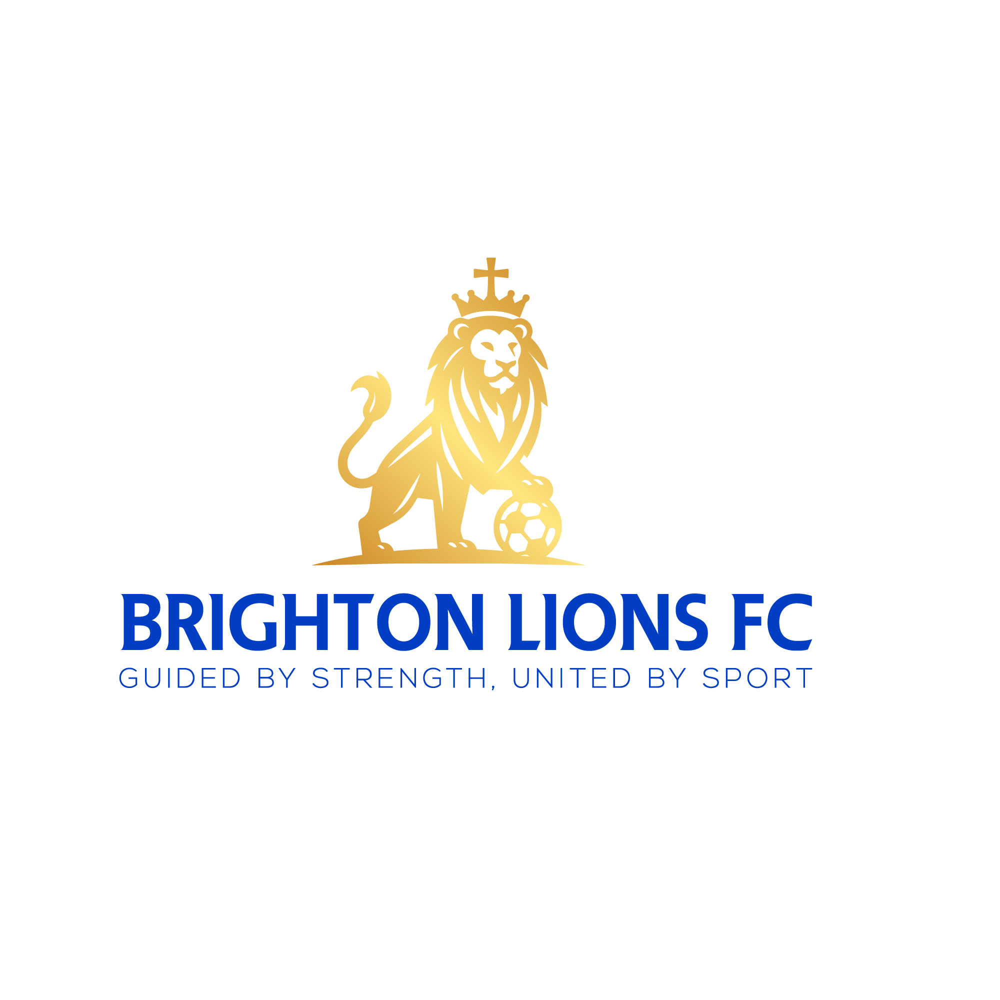 Logo Design by LogoCrafted for CEO | Design #34024369