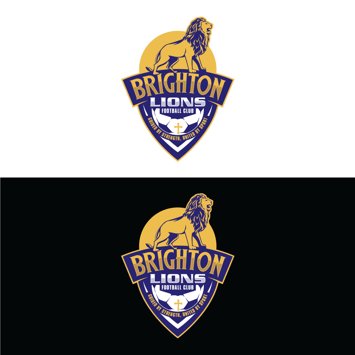 Logo Design by prodesigns99 for CEO | Design #34023025