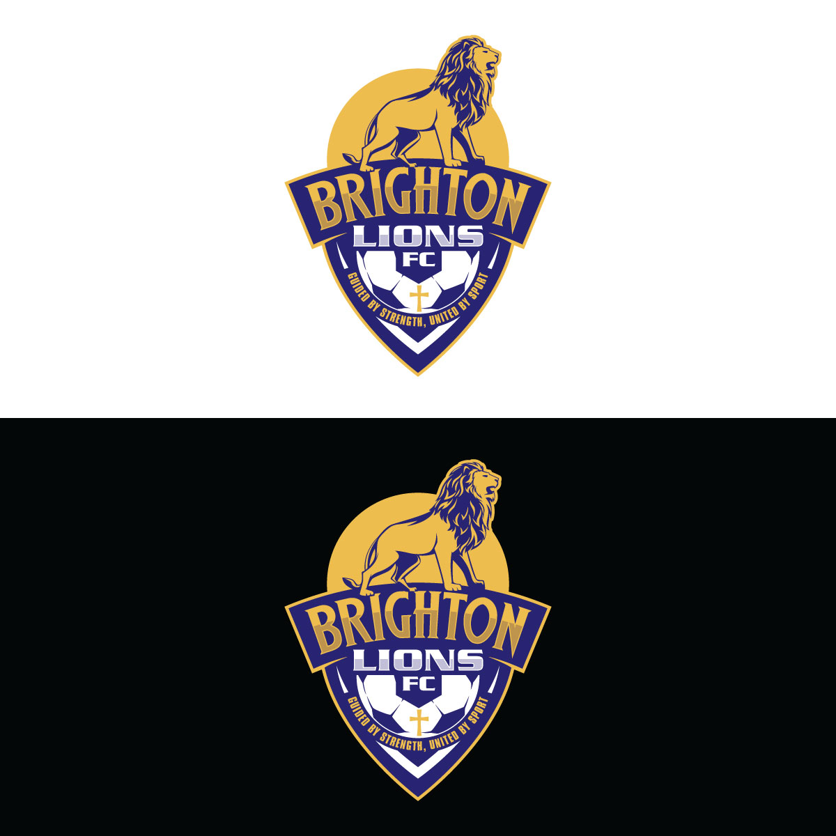 Logo Design by prodesigns99 for CEO | Design #34023026