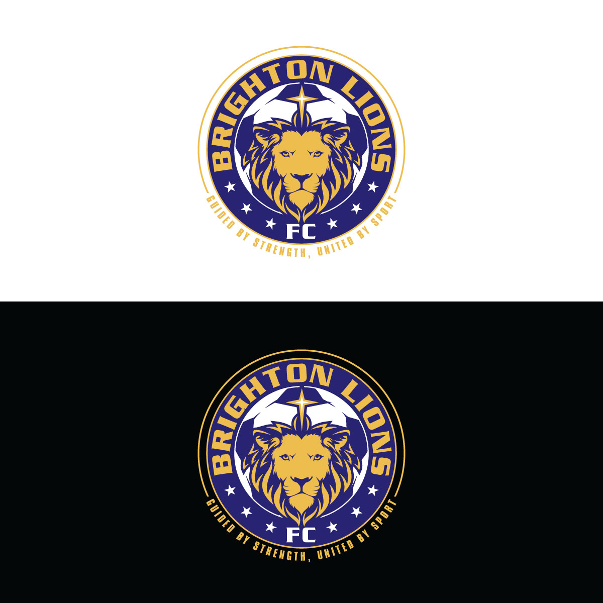 Logo Design by prodesigns99 for CEO | Design #34025769