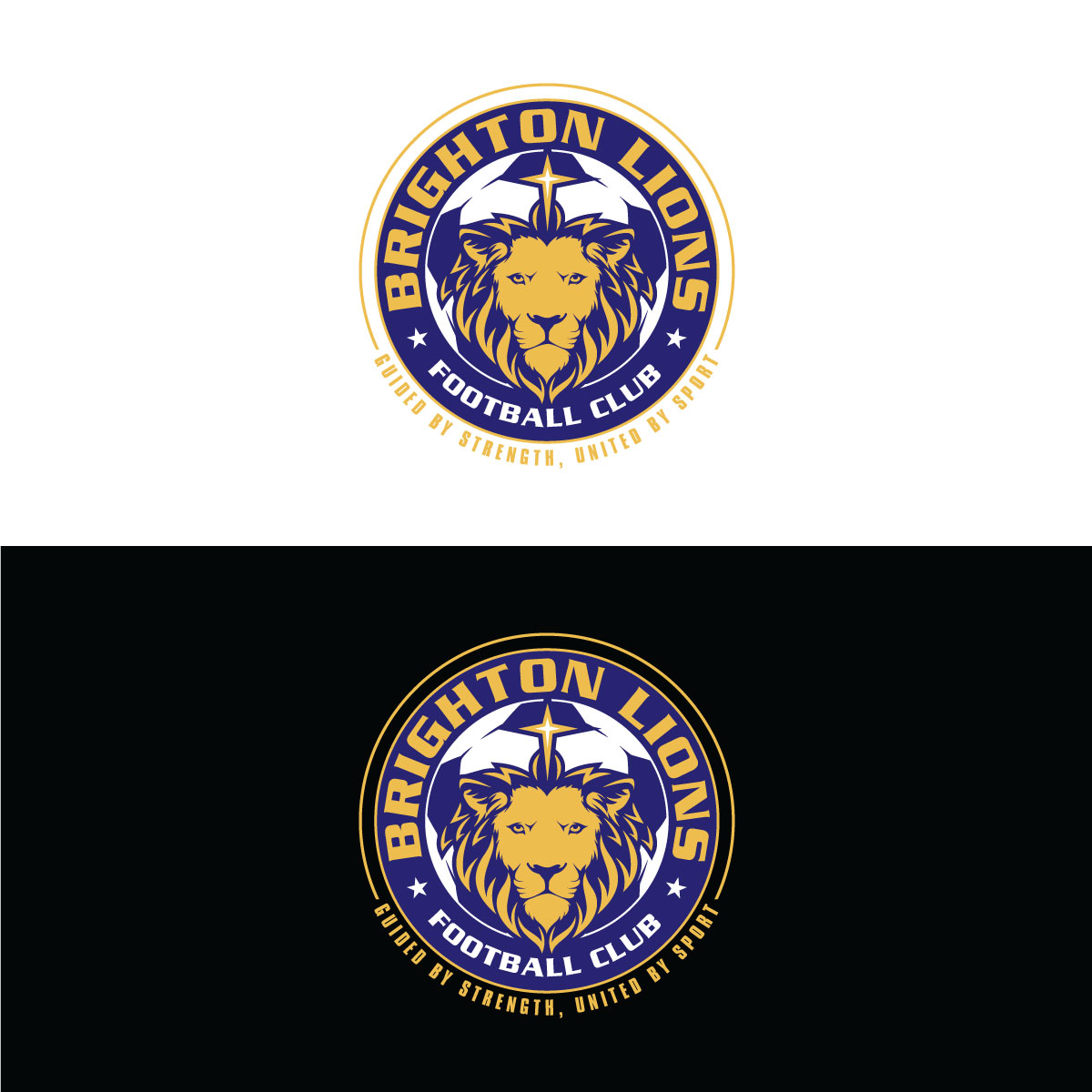 Logo Design by prodesigns99 for CEO | Design #34025770