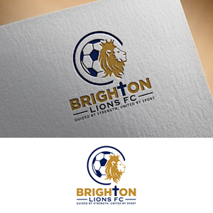 Logo Design by fly  design for CEO | Design: #34028560