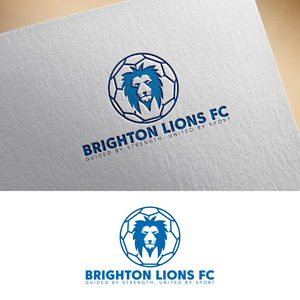 Logo Design by fly  design for CEO | Design: #34029073