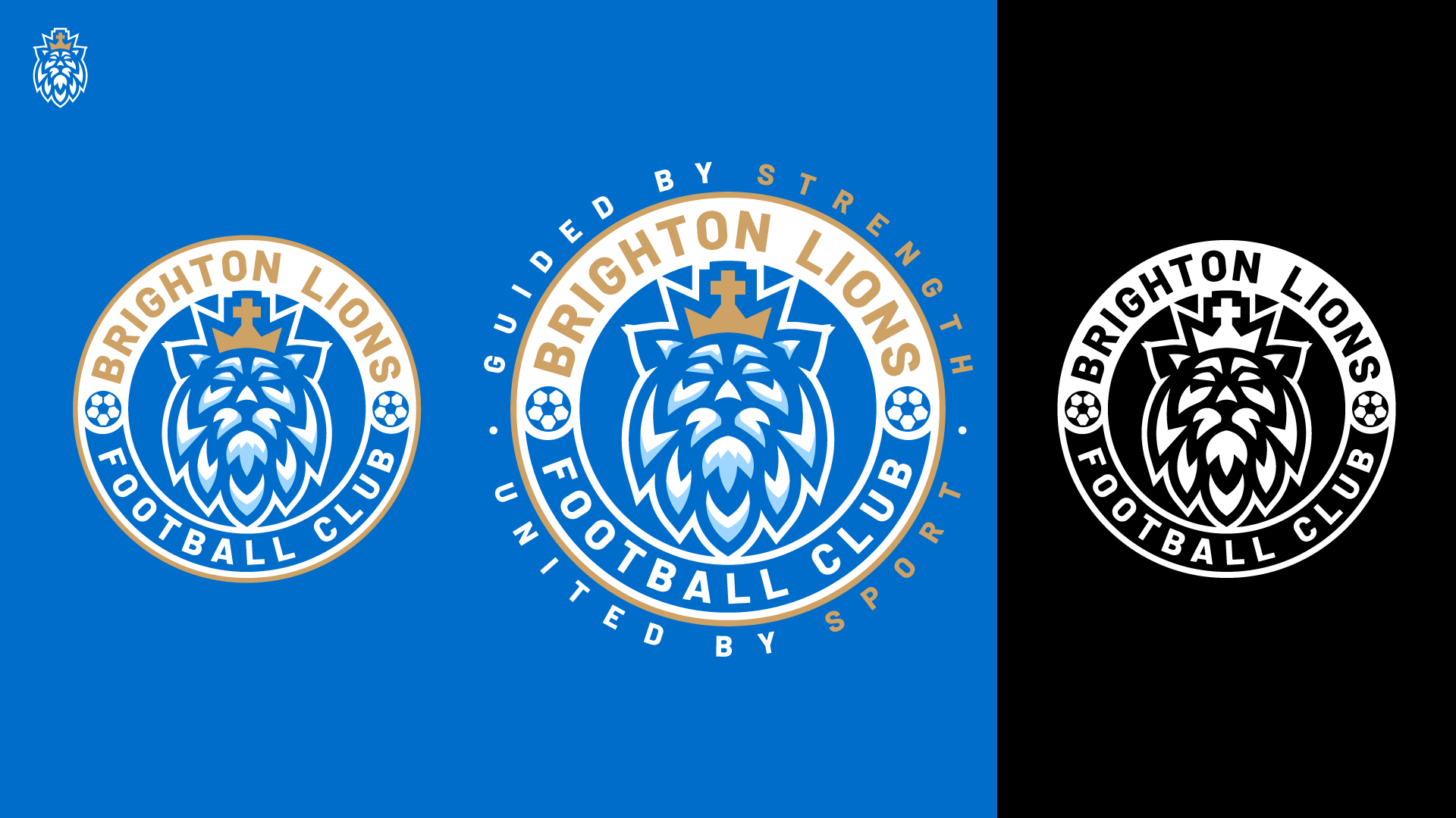 Logo Design by adjeiiBlack for CEO | Design #34024596