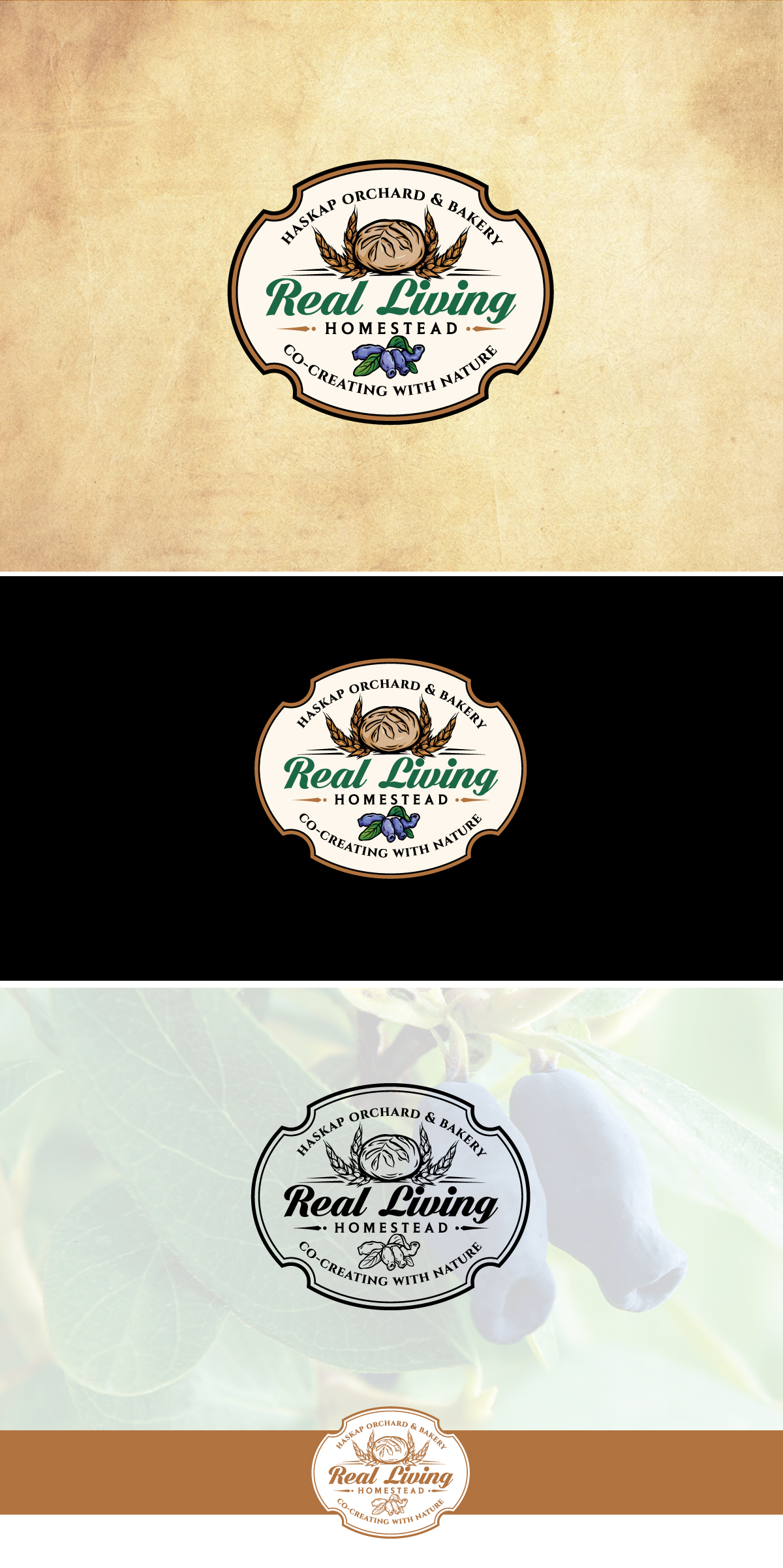 Diseño de Logo por Logo Stock para Real Living Homestead | Diseño #34030961
