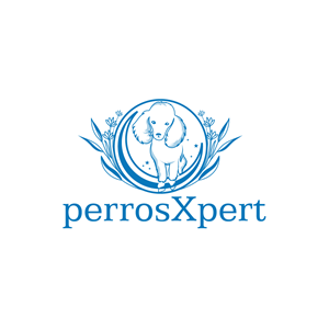 Logo Design by Krold IT Solutions for this project | Design: #34044572