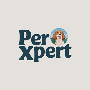 Logo Design by bute