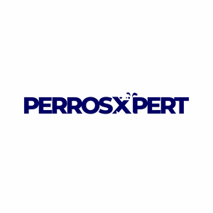 Logo Design by Marcos! for this project | Design: #34048487