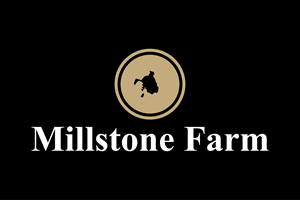 Logo Design by RIO248 for this project | Design: #34088135