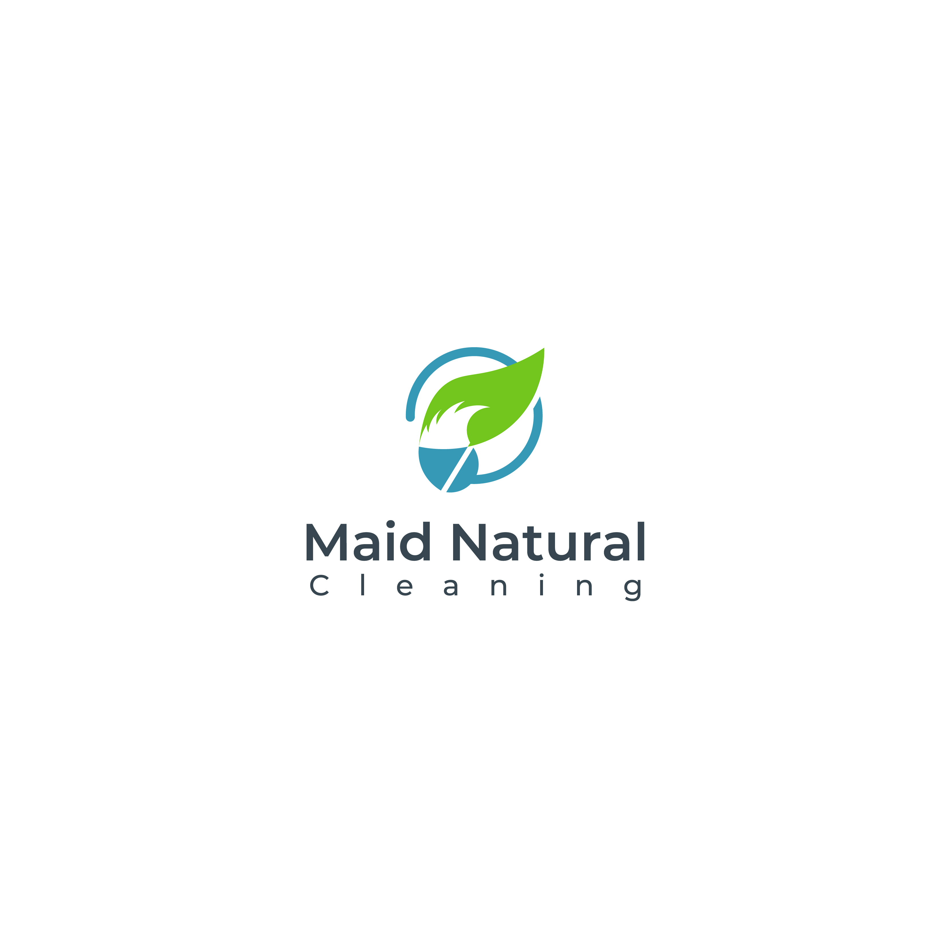 Logo-Design von Boril Std für dieses Projekt | Design #34047249