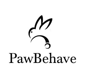 Logo Design by Mizhu XT