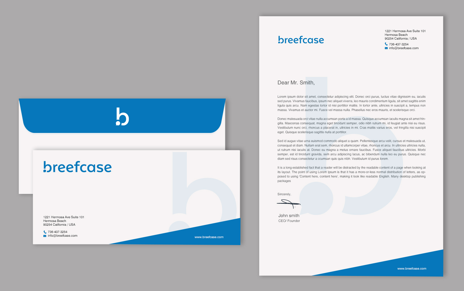 Stationery Design by Brand aid for Faselis Veri Teknolojileri A.S. | Design #34091720