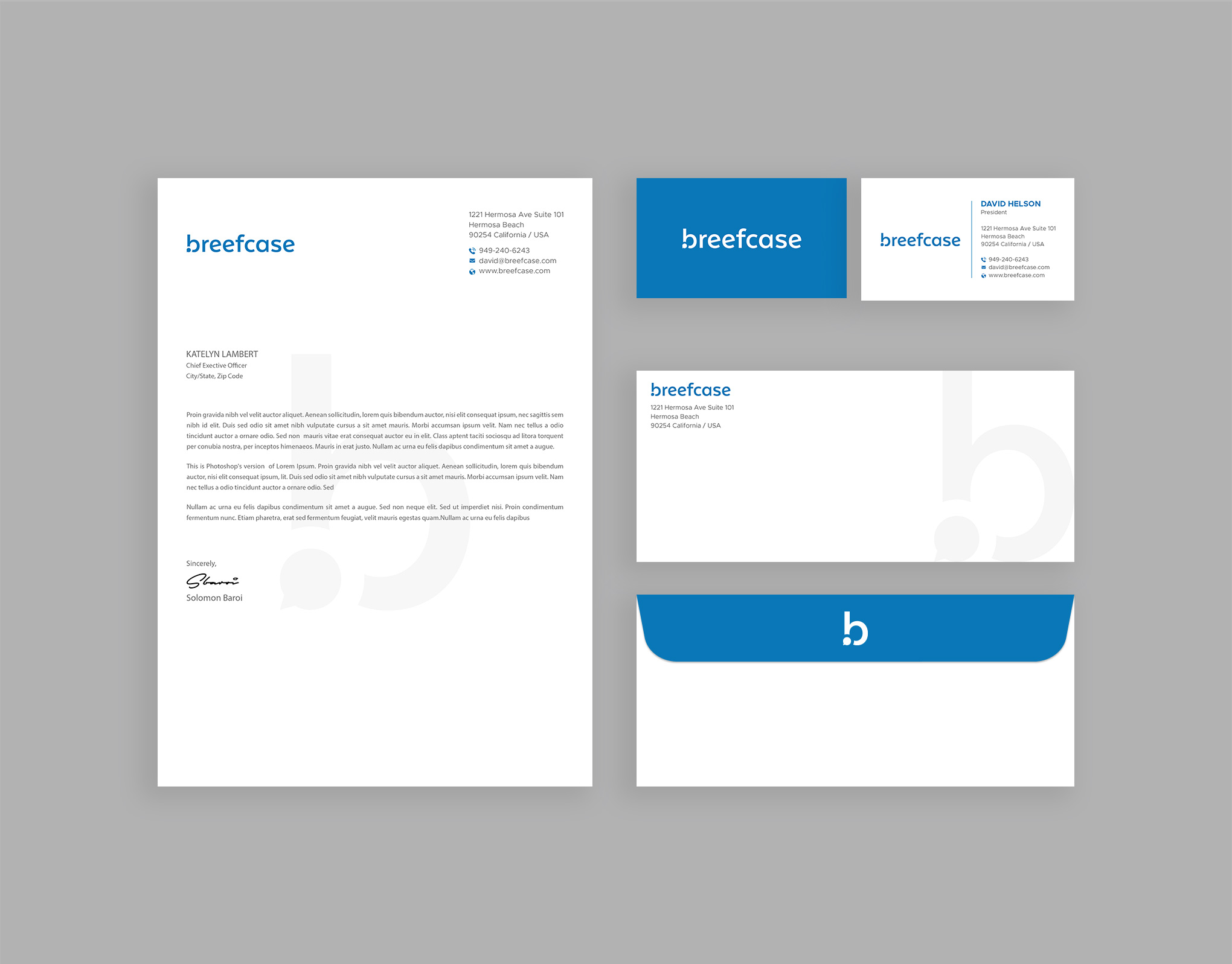 Stationery Design by DesignShout for Faselis Veri Teknolojileri A.S. | Design #34101213