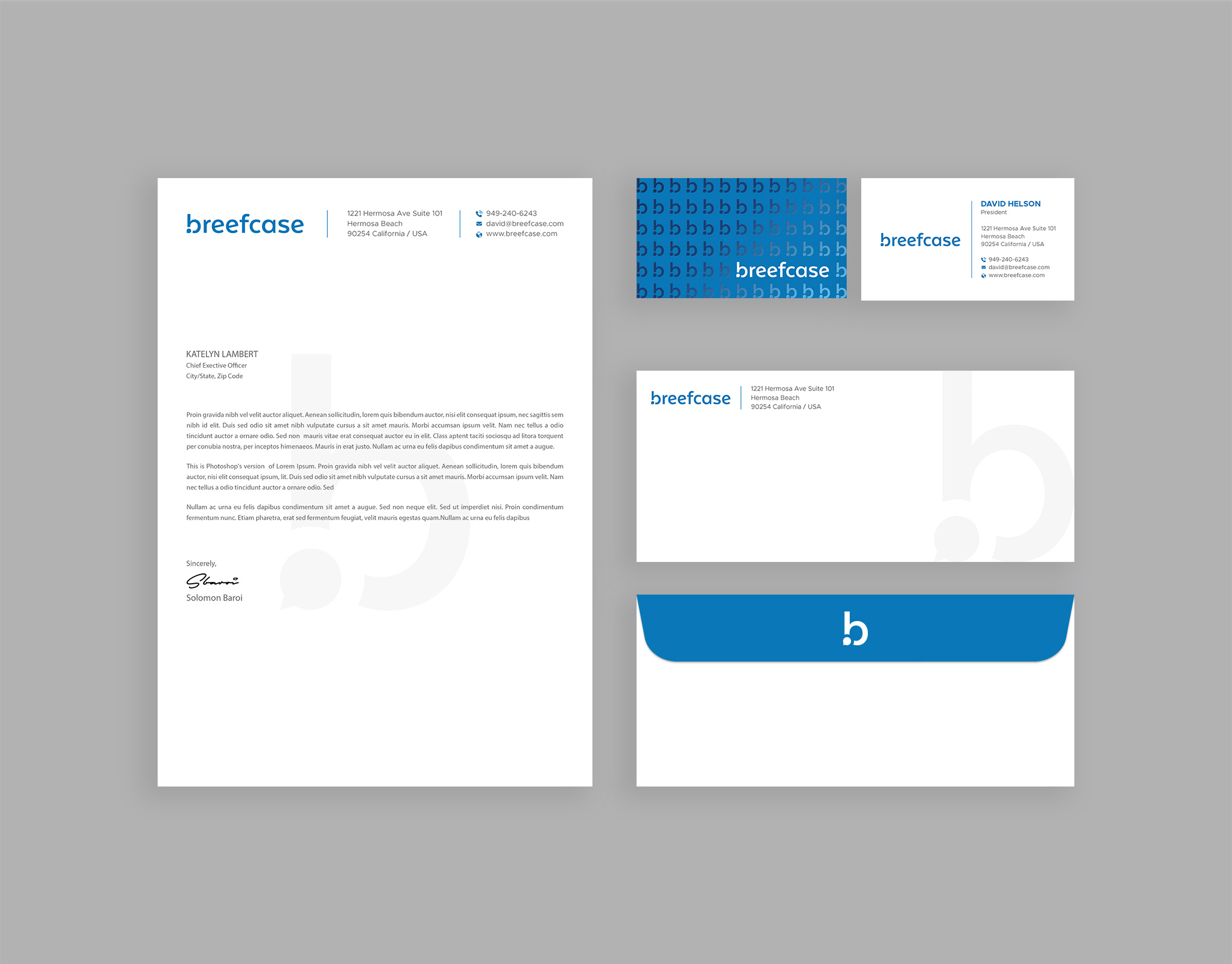 Stationery Design by DesignShout for Faselis Veri Teknolojileri A.S. | Design #34101324