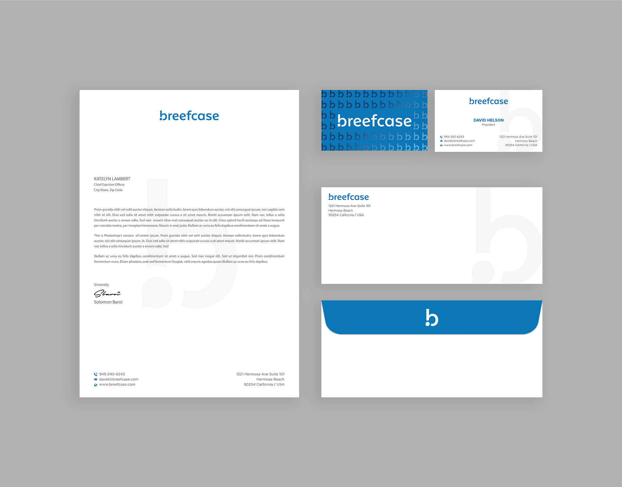 Stationery Design by DesignShout for Faselis Veri Teknolojileri A.S. | Design #34101388