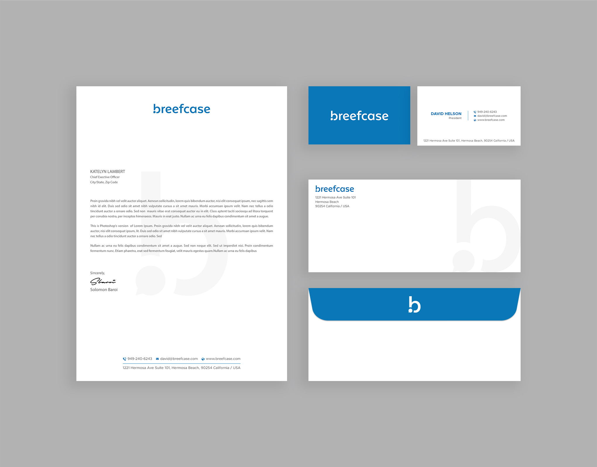 Stationery Design by DesignShout for Faselis Veri Teknolojileri A.S. | Design #34101478