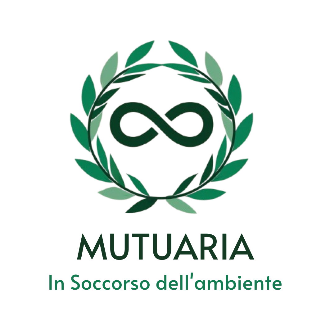 Diseño de Logo por suba.blast para este proyecto | Diseño #34099545