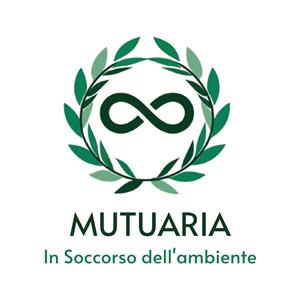 Diseño de Logo por suba.blast para este proyecto | Diseño #34099545