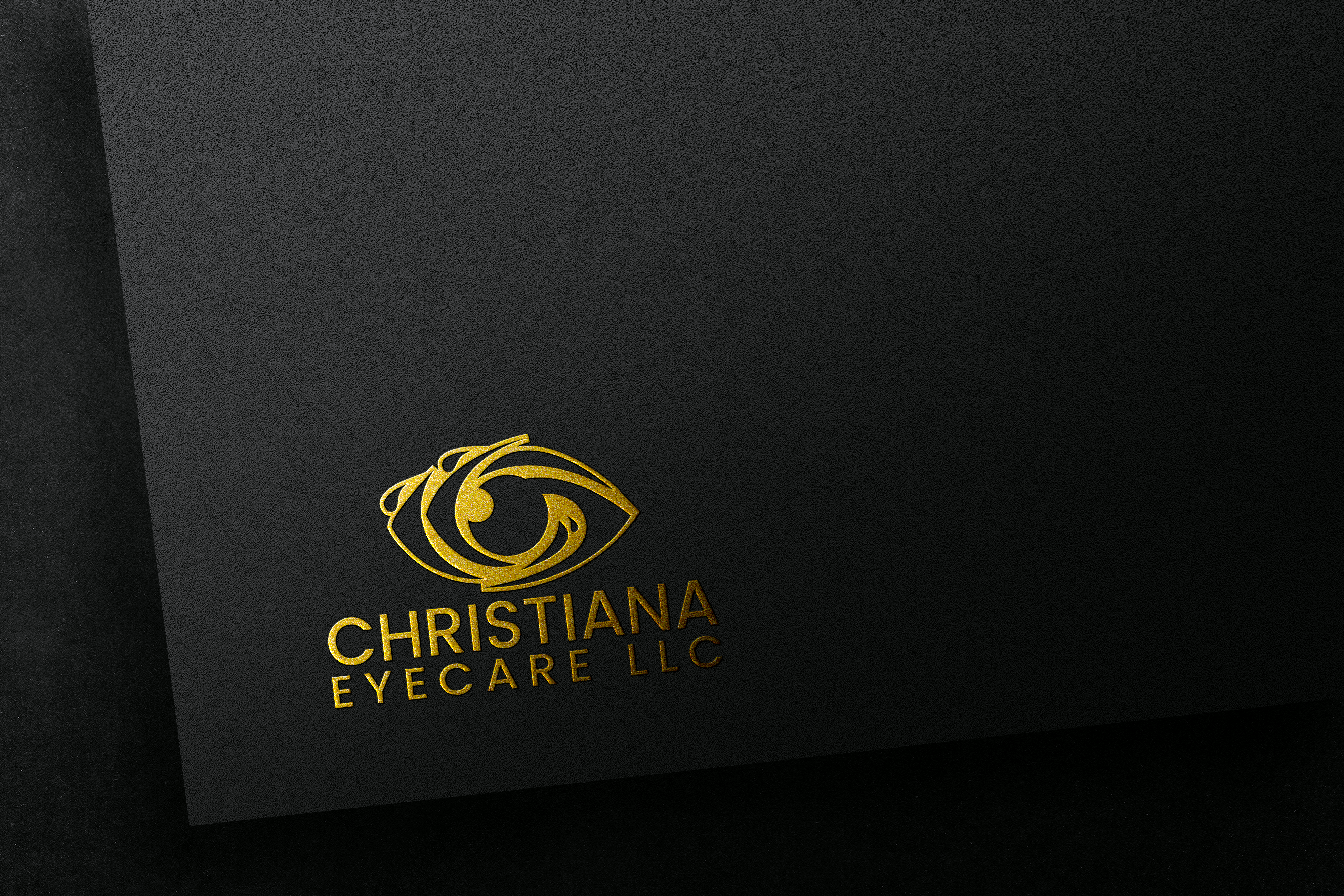 Logo Design by MAHBUB98 for Professional Vision Group | Design #34078787