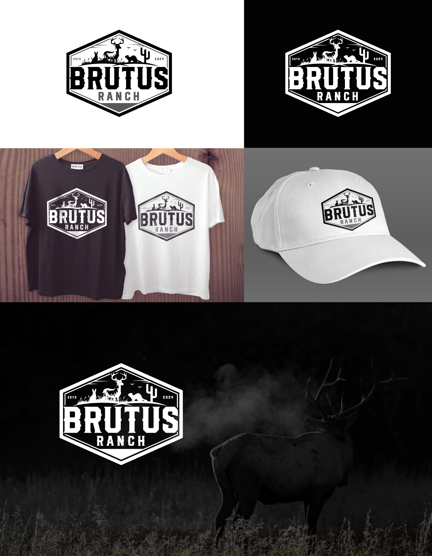 Design de Logo par jonkonrad pour ce projet | Design #34085713