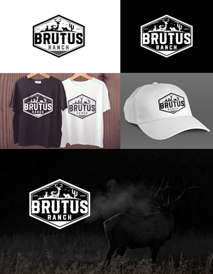 Logo-Design von jonkonrad für dieses Projekt | Design: #34085713