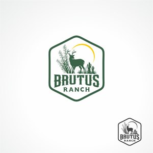 Logo-Design von Fortmindz für dieses Projekt | Design: #34081704