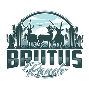 Logo-Design von Suvendu.S für dieses Projekt | Design: #34083228