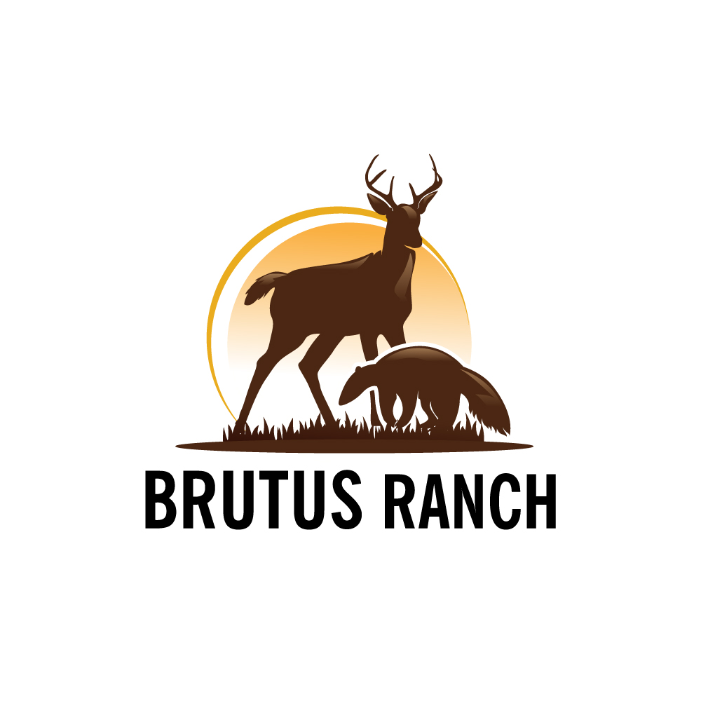 Diseño de Logo por Krold IT Solutions para este proyecto | Diseño #34086300