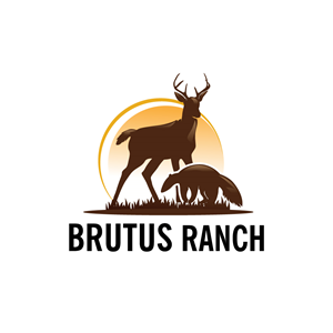 Logo-Design von Krold IT Solutions für dieses Projekt | Design: #34086300