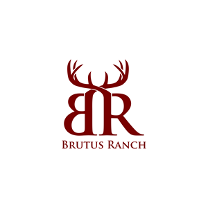 Logo Design by Astro D for this project | Design #34086330