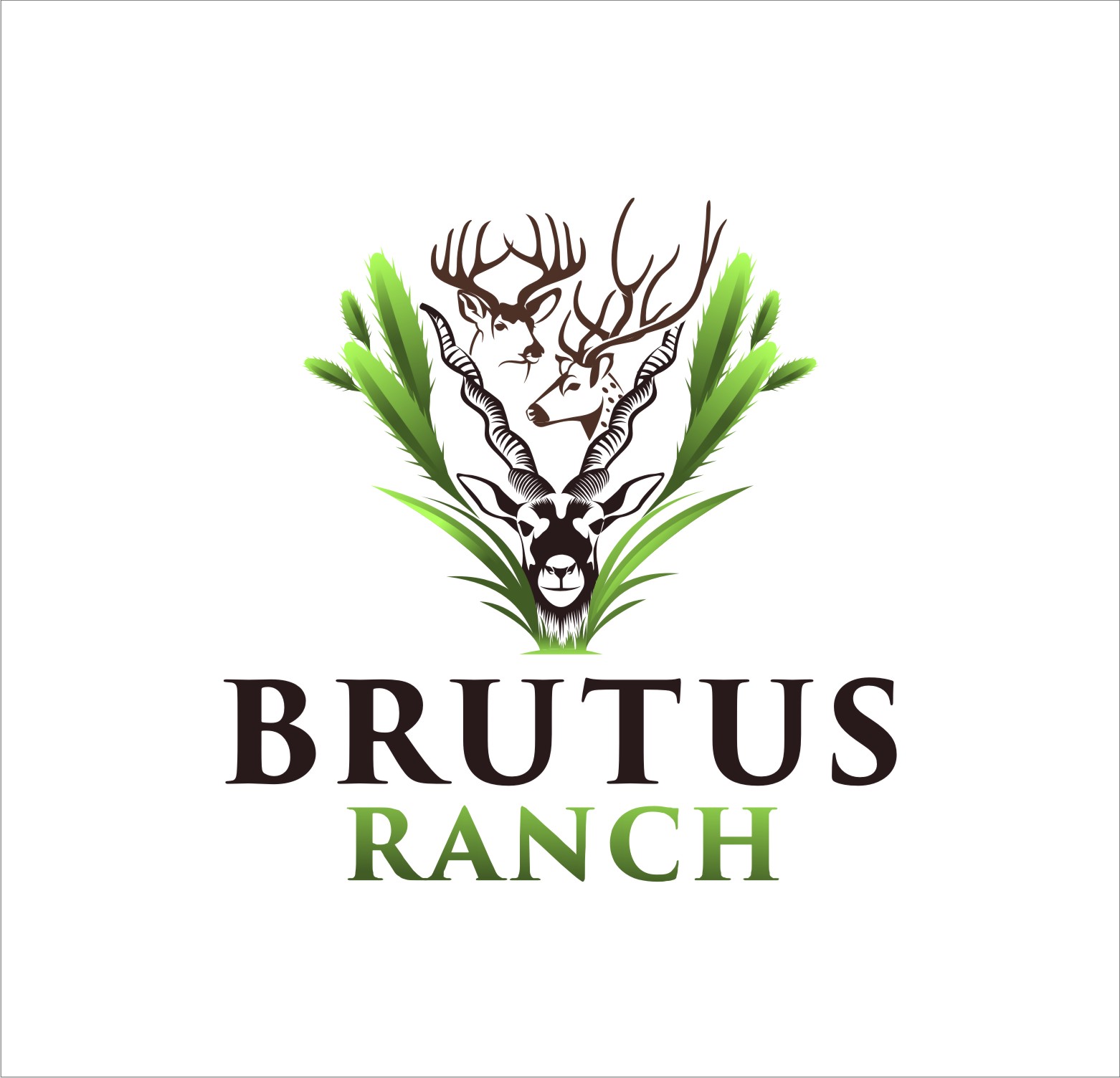 Design de Logo par Soul Light pour ce projet | Design #34086499