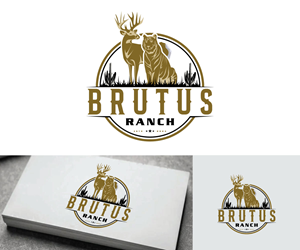 Logo-Design von Ansh Design für dieses Projekt | Design: #34083334