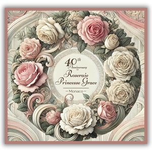 Illustration Design by Custom A