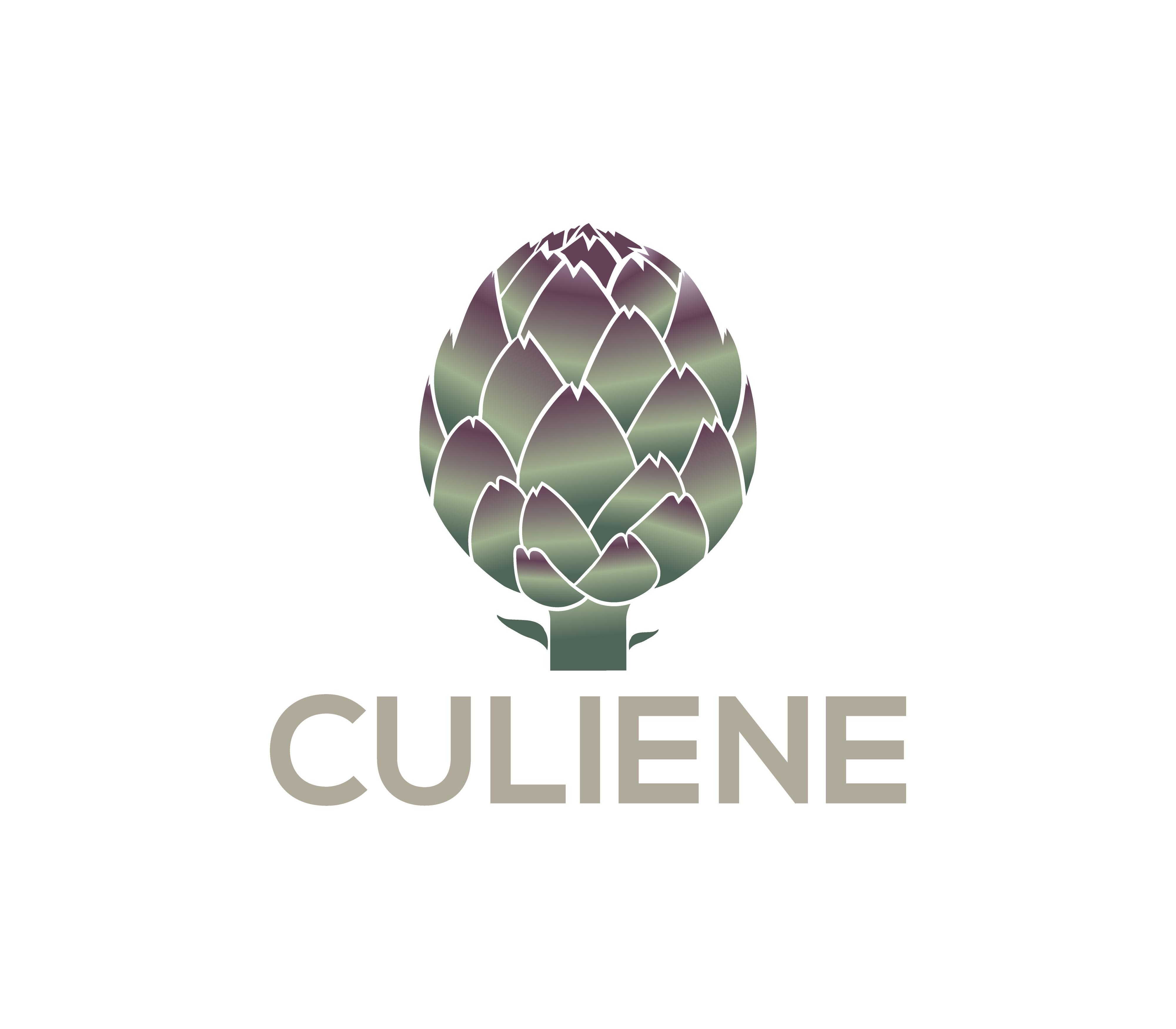 Logo Design by Nova_Create for this project | Design #34089584