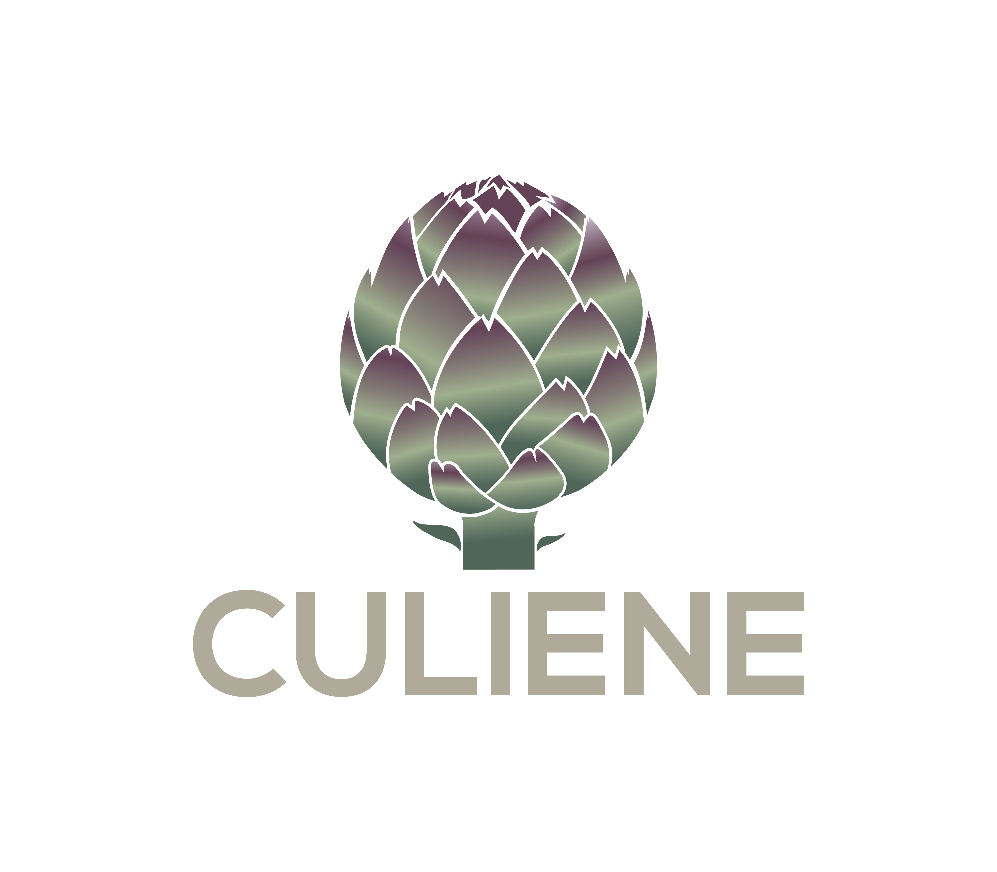 Logo Design by Nova_Create for this project | Design #34089585