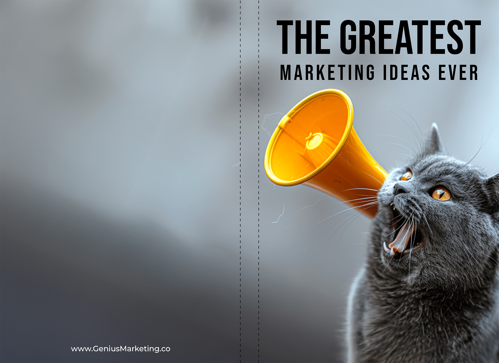 Book Cover Design by Arthur_M for this project | Design #34109820