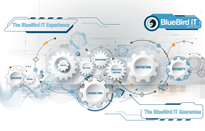 Graphic Design by Custom A