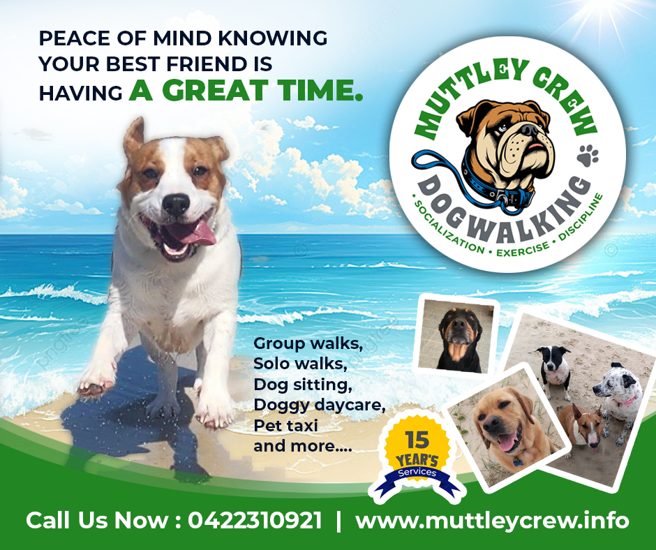 Graphic Design by uk for this project | Design #34094367