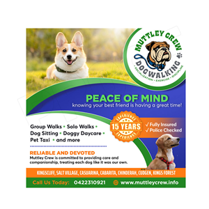 Graphic Design by DA. for this project | Design: #34121901