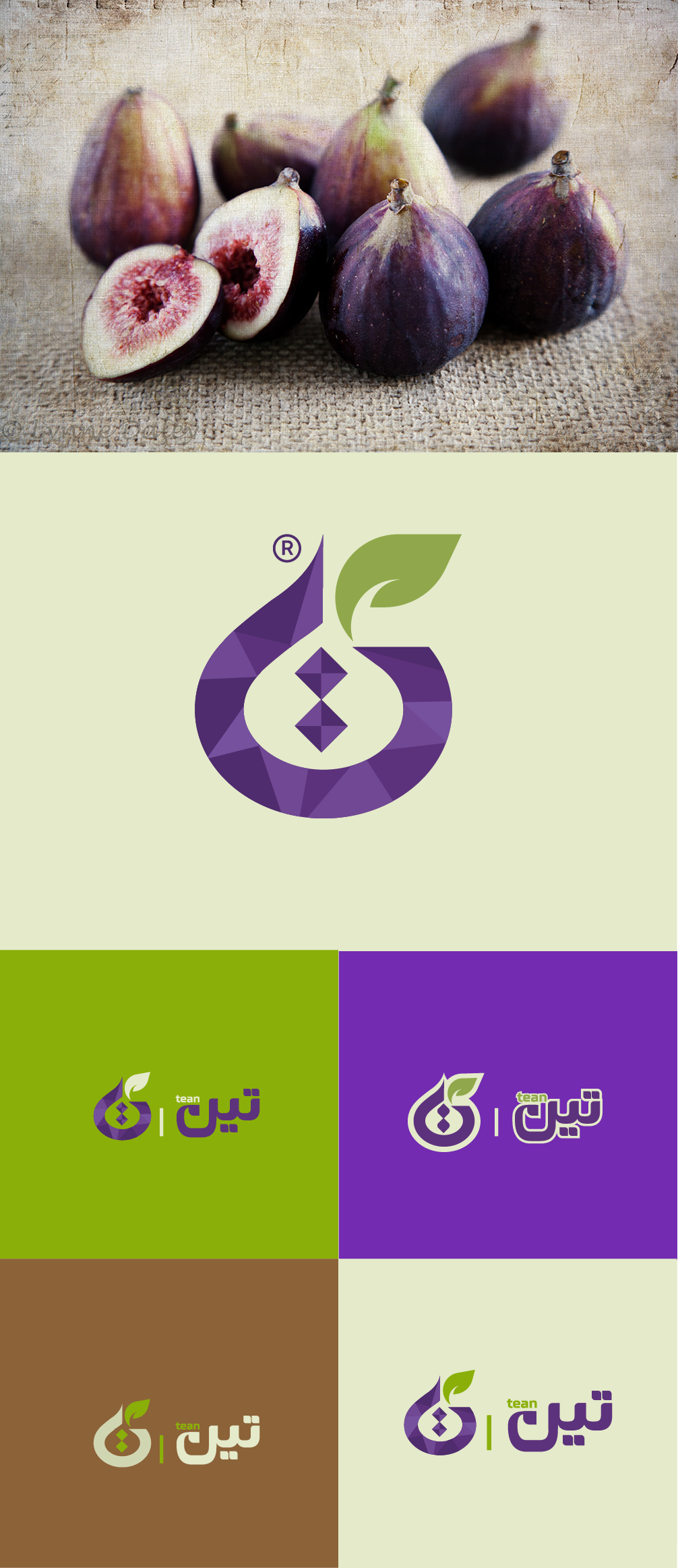 Logo Design by graphicawy for this project | Design #34169811