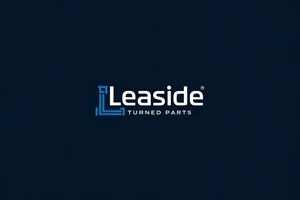 Logo Design by aneskayirt