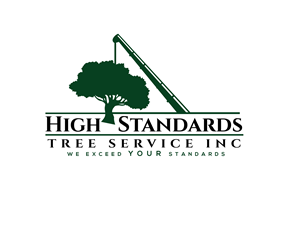 Logo Design by renderman for this project | Design #34110079