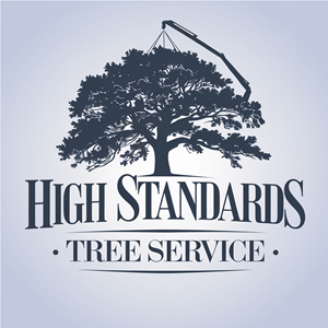 Logo Design by mekail for this project | Design: #34106000