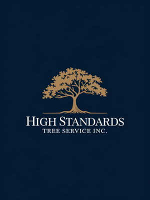 Logo Design by riya08